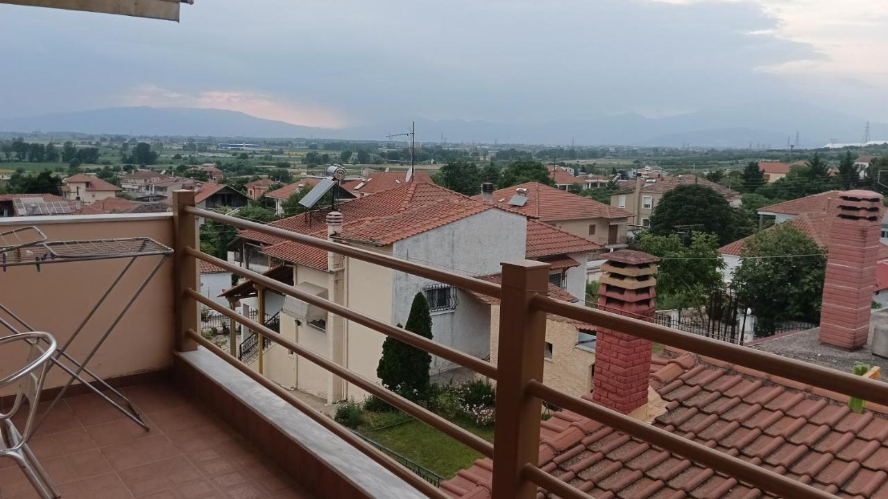 Anestis Studios Lídia Kültér fotó